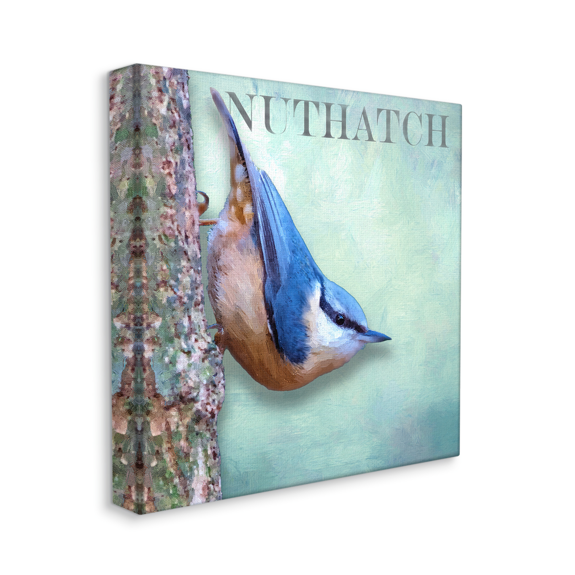 Stupell Industries Blue Nuthatch Bird Climbing Tree Forest Wildlife Graphic Art Gallery Wrapped Canvas Print Wall Art, Design by Alpenglow Workshop