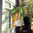 thumbnail image 2 of Carolines Treasures BB9894CHF Sheltie St Patricks Flag Canvas House Size  Large multicolor, 2 of 4