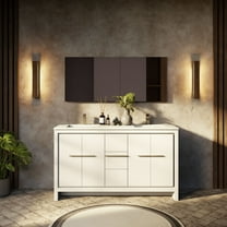 Lafarre 60 in W x 20 in D White Double Bath Vanity and White Quartz Top