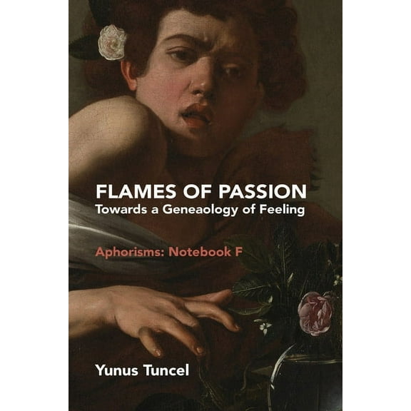 Flames of Passion: Towards of a Genealogy of Feeling Aphorisms: Notebook F, (Paperback)