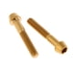 thumbnail image 4 of 1 par de tornillos de titanio Ti para bicicleta de montaña, portabotellas, soporte para cesta Dorado M6x35mm Zulema Tornillo de cabeza cónica cónica M6, 4 of 6
