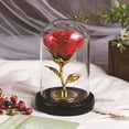 thumbnail image 6 of Forever Preserved Rose Display Dome, Valentine's Day Decorative Rose Gifts for Women Mom Wife Girlfriend (Red), 6 of 6
