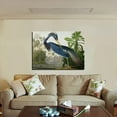 thumbnail image 2 of John James Audubon Painting Louisiana-Heron- By Audubon Canvas Art Birds Framed Wall Art, 2 of 7