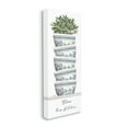 thumbnail image 3 of Stupell Industries Bless This Kitchen Stacked Ornate Bowls Succulent Plant Graphic Art Gallery Wrapped Canvas Print Wall Art, Design by Cindy Jacobs, 3 of 7