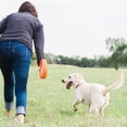 thumbnail image 3 of Juguete para perros Chuckit! Rueda Fetch Rueda Robusta para perros medianos, 3 of 6