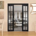Sliding French Double Pocket Doors Felicia 3355 Matte Black with