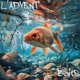 thumbnail image 1 of LADVENTLURES 2024, Fiske-Adventskalender, Fiskebete Julgåvor, 1 of 5