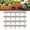 Cement Gray, variant on Plastic Garden Retaining Fence, Stone-Look Lawn Edging Border with Flexible Interlocking Design, No Dig Weatherproof Decorative Landscape Edging for Outdoor Yard (Brick Red,10)