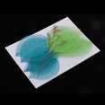 thumbnail image 4 of Hojas Secas Prensadas Sunnimix 10 piezas de magnolia para Manualidades de Bricolaje, 4 of 8