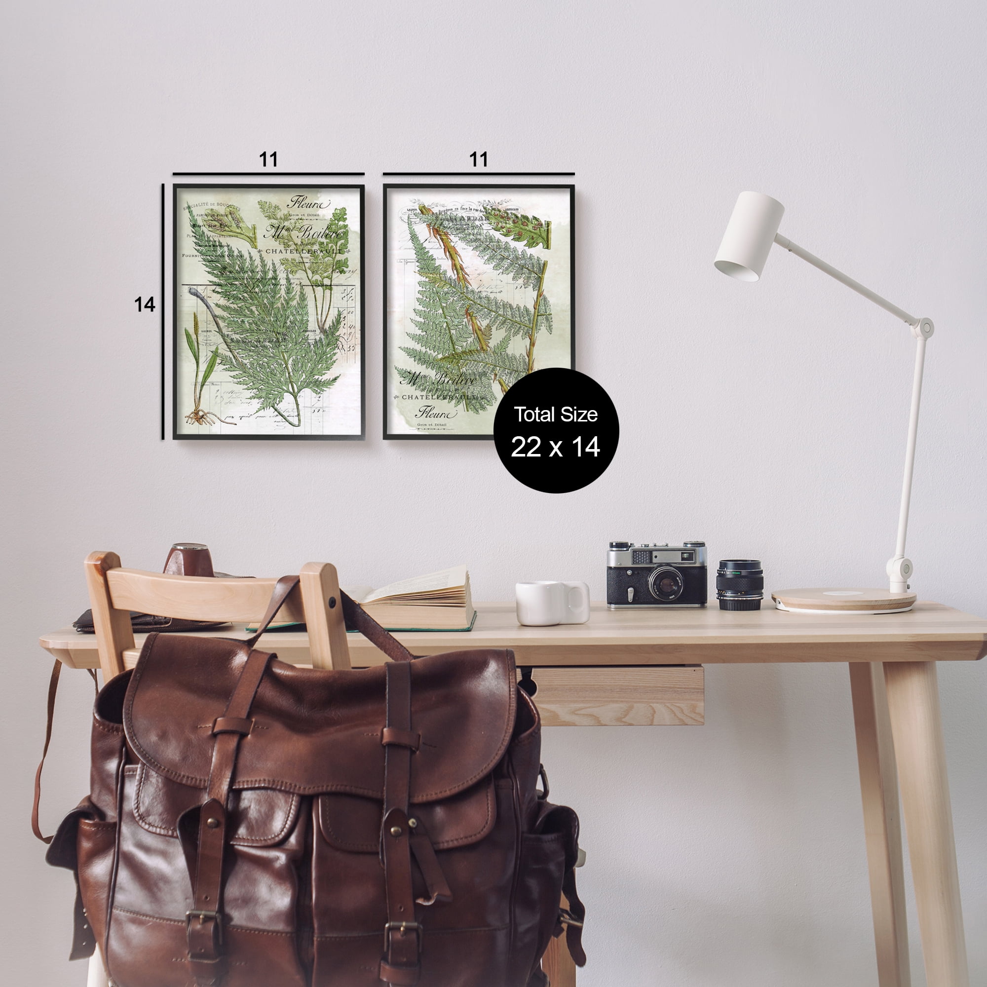Stupell Woodland Fern Botanical Latin Study Botanical & Floral Painting Black Framed Art Print Wall Art, Set of 2