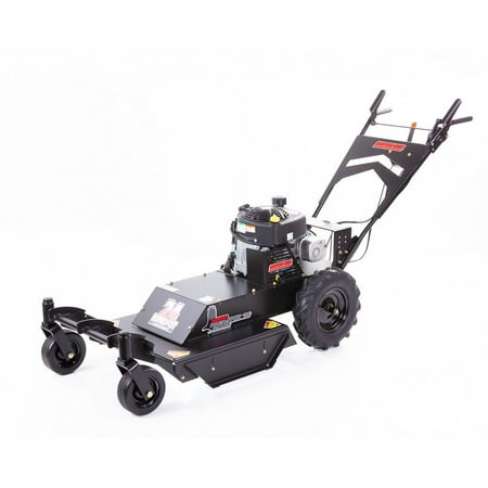 Swisher WRC11524BSC 11.5HP 24 in. Briggs & Stratton Walk Behind Rough Cut with (Best Swishers For Blunts)