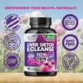 thumbnail image 4 of Gentle Liver Cleanse Detox & Repair Formula - Advanced Liver Support Supplement with Silymarin Milk Thistle, Dandelion Root, Artichoke Extract, Turmeric, Choline, & Beetroot - 60 Veggie Capsules, 4 of 10