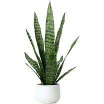 Artificial Snake Plant 22.5" Faux Agave Fake Sansevieria Artificial Potted Plants for Indoor and Outdoor Home Office Décor