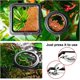 thumbnail image 5 of Anillo de comida para peces, 2 piezas, dispensador de comida para peces, accesorios para acuarios, dispensador circular de comida para tortugas, para guppys y bettas, 5 of 5