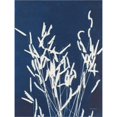 thumbnail image 2 of Great Art Now Ornamental Grass IV by Kathy Ferguson, Framed Wall Art, 14.75W x 17.75H, 2 of 3