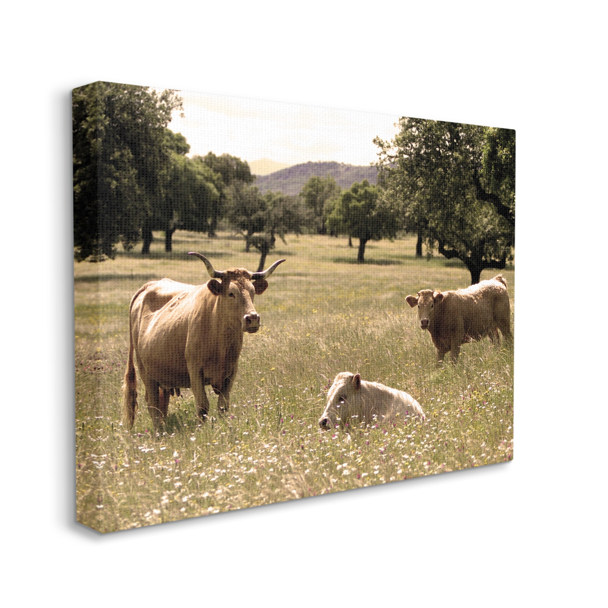 Stupell Industries Three Cattle Relaxing Grassland Pasture Rural Farm Trees Photograph Gallery Wrapped Canvas Print Wall Art, Design by Daphne Polselli