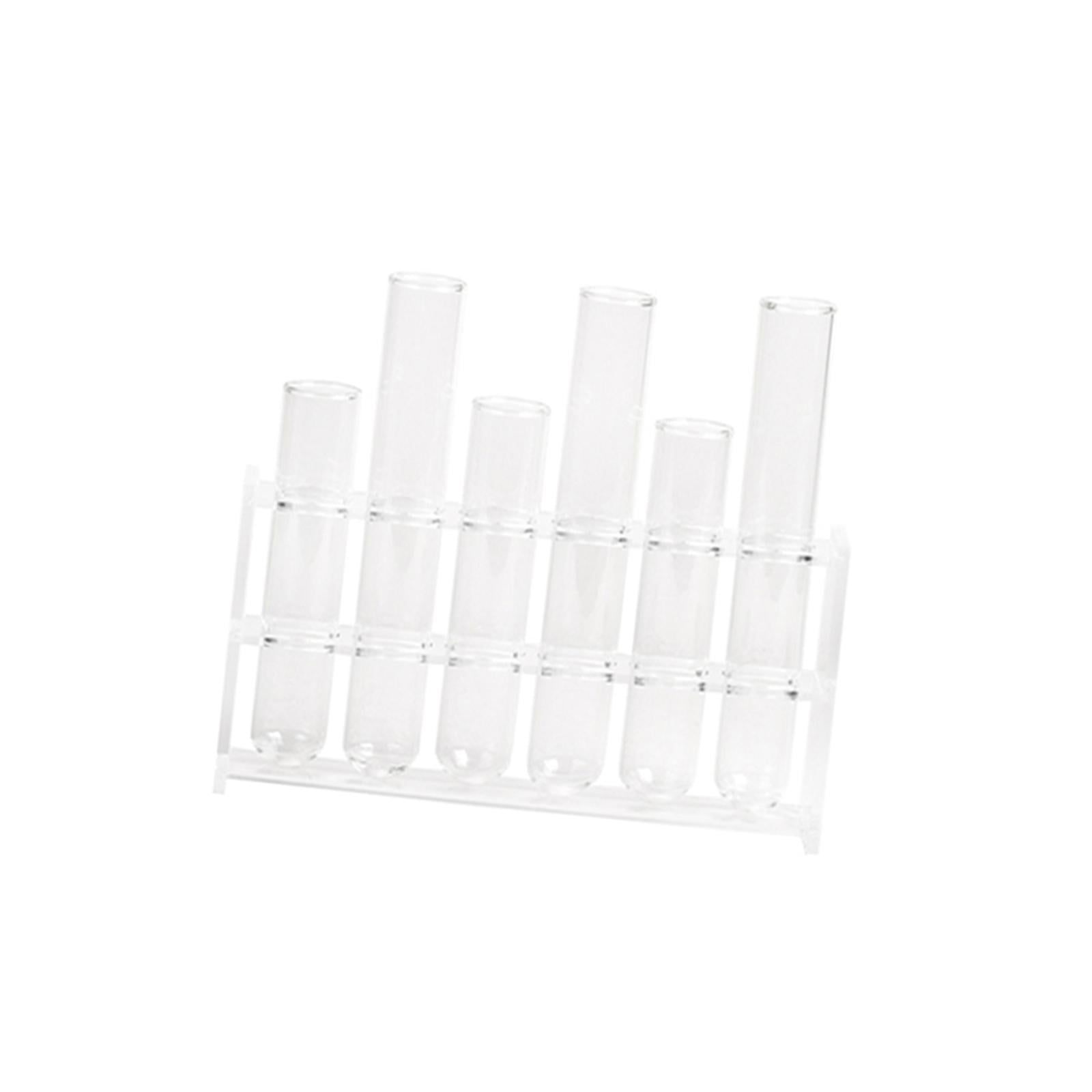 Test Tube Vase Plant Tube Clear Glass Test Tube Planter Planter