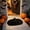 Black, variant on Halloween Pumpkin Doormat Home Decoration Orange Jack O Lantern Face Floor Mat Washable Soft Polyester Non Slip Entrance Rug For Indoor Entryway Doorway Porch Decor Welcome Holiday Mat Decor