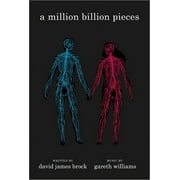 A Million Billion Pieces (Paperback)