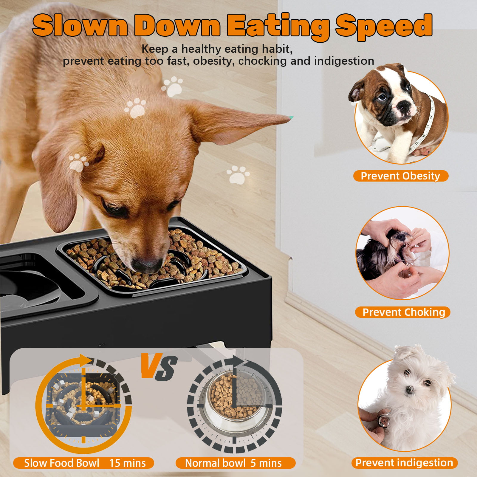 Ciconira Elevated Dog Bowls 4 Adjustable Heights Raised Pet Bowl Stand with  Slow Feeder Bowl 2 Stainless Steel Food & Water Bowls Adjusts