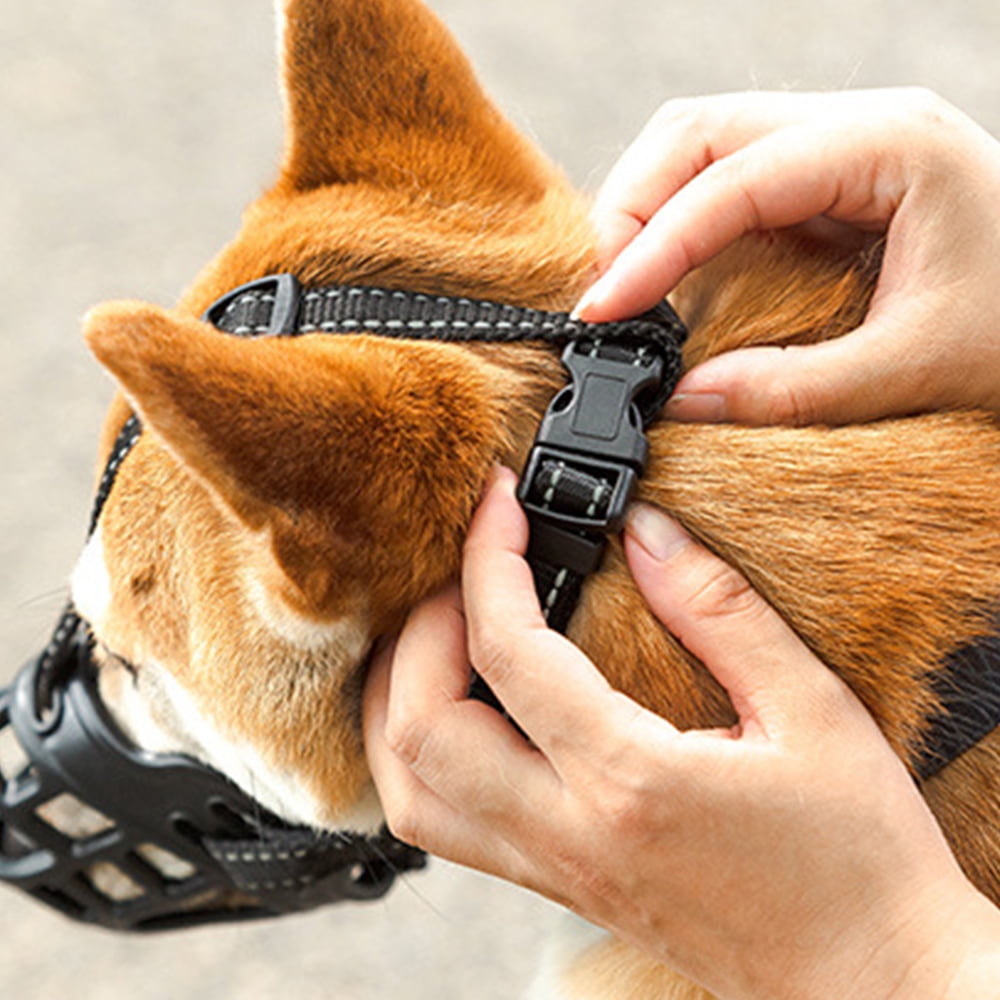 diy dog muzzle for barking diy dog muzzle for barking