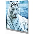thumbnail image 2 of Silver Tiger with Water Background - African Canvas Art Print, 2 of 3