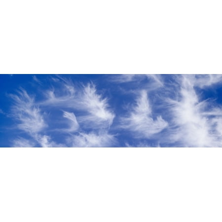 Low angle view of cirrus clouds in the sky La Jolla San Diego San Diego County California USA Poster