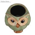 thumbnail image 3 of Small Ceramic Owl Succulent Plant Pot Flower Planter Mini Home Garden Decoration, 3 of 6