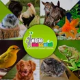 thumbnail image 5 of Ropa Batman Para Cuyo Conejo Huron Hamster Cobaya Y Correa, 5 of 5
