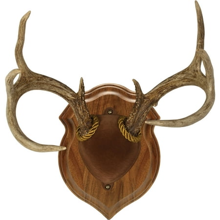 Deer Antler Single (Walnut Hollow Country Deluxe Antler Display Kit in Solid Walnut for Whitetail Deer & Mule Deer)