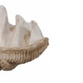 thumbnail image 4 of Benjara Medium Clam Shell Accent, White, 4 of 6