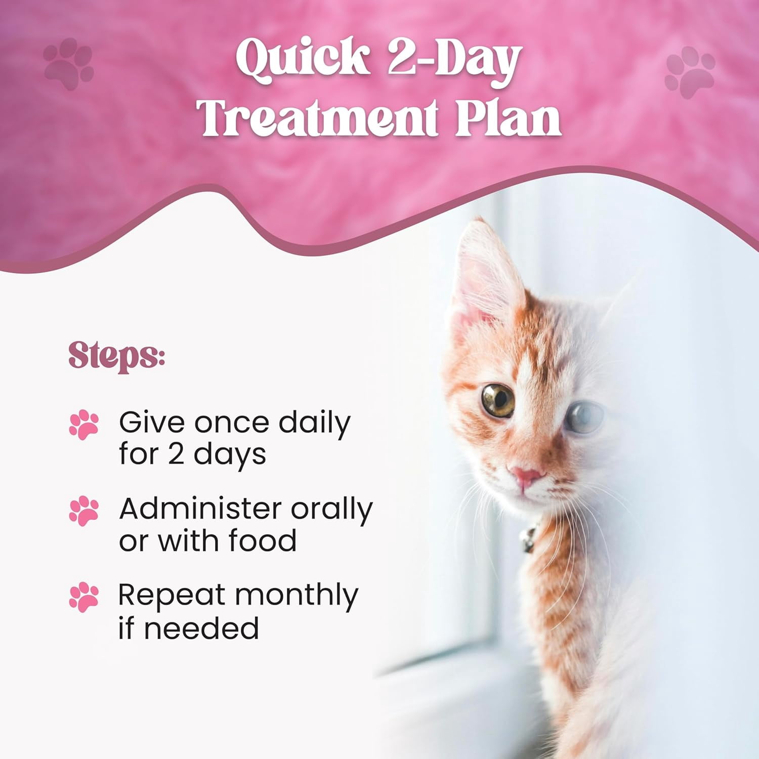 Dewormer for Cats Liquid – Chicken Flavor Cat Dewormer for Cats & Kittens – Oral Formula with Syringe – Tapeworm Care Support – 2 oz (60 ml)