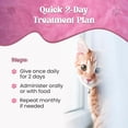 thumbnail image 4 of Dewormer for Cats Liquid – Chicken Flavor Cat Dewormer for Cats & Kittens – Oral Formula with Syringe – Tapeworm Care Support – 2 oz (60 ml), 4 of 7