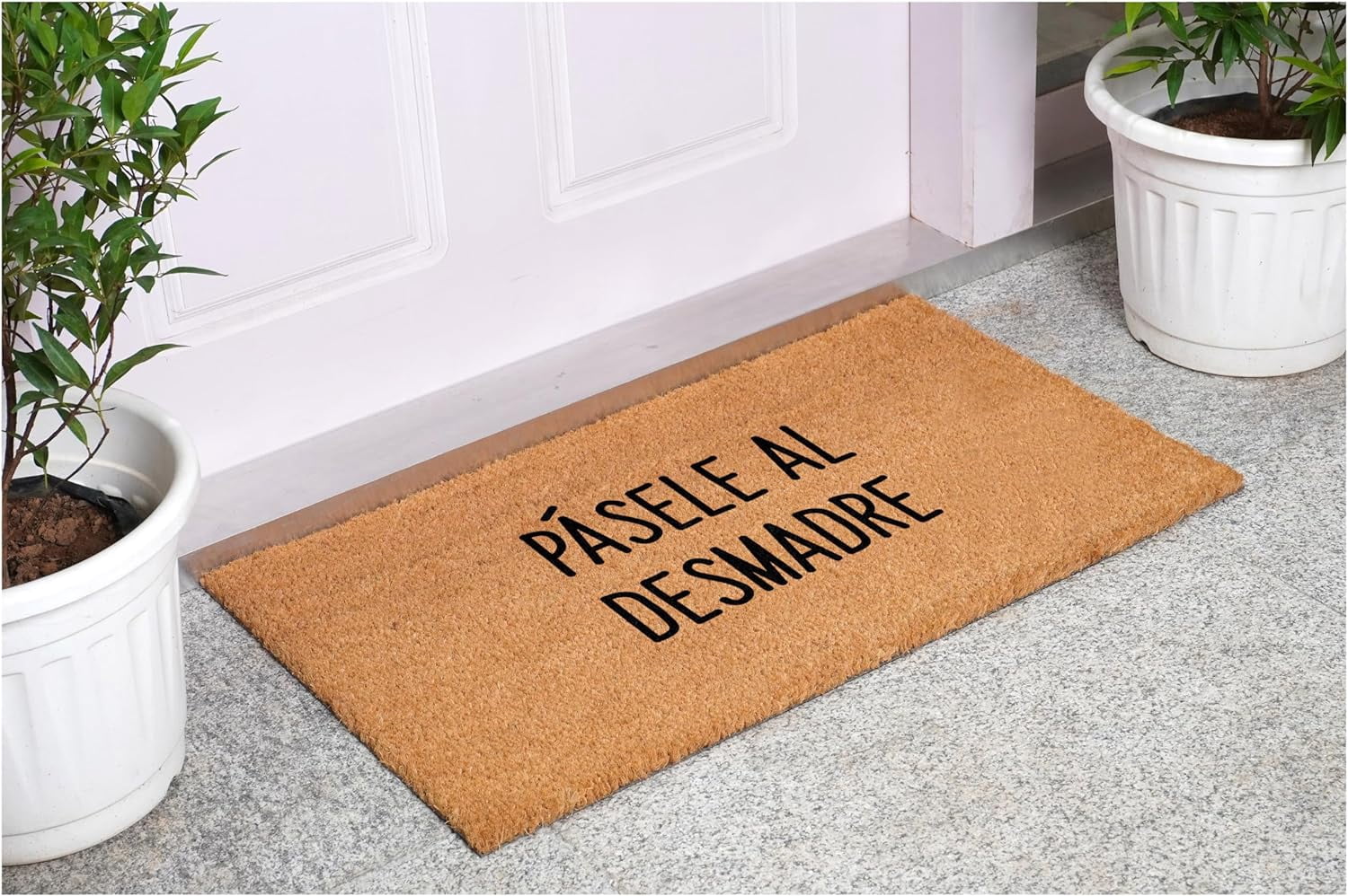 Calloway Mills 113391729 Pasele al Desmadre Script Spanish Doormat 17" x 29"
