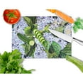 thumbnail image 2 of Caroline's Treasures Hydrangea Glass Cutting Board Large, 2 of 2