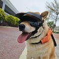 thumbnail image 3 of YIGSECU Pet Motorcycles Helmets Dog Sunglasses Safe Pet Dog Hard Hat with Regulable Strap, 3 of 16