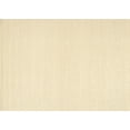 thumbnail image 1 of Ahgly Company Indoor Rectangle Contemporary Brown Solid Area Rugs, 2' x 3', 1 of 6