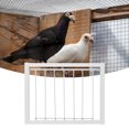 thumbnail image 4 of Puerta de la casa del loro, jaula de hierro para pájaros, casa Ttrap, casa para pájaros, jaula para pájaros, rendimiento inigualable Jadeshay A, 4 of 8