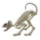 thumbnail image 2 of 1 modelo de calavera de gato., 2 of 3