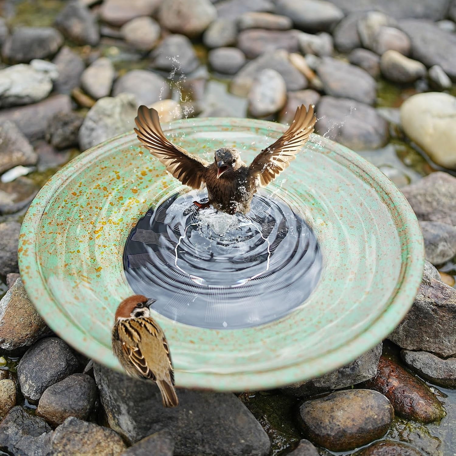Outdoor Bird Bath Bowl, for Outdoors Garden Patio Decor.