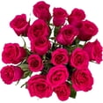 thumbnail image 2 of Arabella Bouquets Farm Direct Bouquet of 18 Fresh Cut Hot Pink Roses with Free Elegant Hand-Blown Vase, 2 of 5