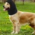 thumbnail image 4 of SOPOTUTU Cowboy Costume For Dog Pet Transformation Hat Polar Fleece Party Accessory 1Pcs, 4 of 8