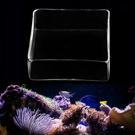 Clear Glass Aquarium Fish Tank Shrimp Feeding Food Dish Feeder