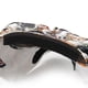 thumbnail image 2 of Gafas de motocicleta Casco Máscara Montar al aire libre Motocross Calaveras a prueba de viento, 2 of 8
