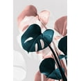 thumbnail image 2 of 1x Studio III 11x14 White Modern Wood Framed Museum Art Print Titled - Monstera Creative 17, 2 of 4