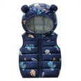 thumbnail image 1 of 2-7T Boys Girls Toddlers' Light-Weight Water-Resistant Hooded Puffer Vest Dinosaur Winter Jacket Outerwear, 1 of 9