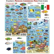 Franko Maps Mini Mexican Caribbean Reef Creatures Fish ID for Scuba Divers and Snorkelers