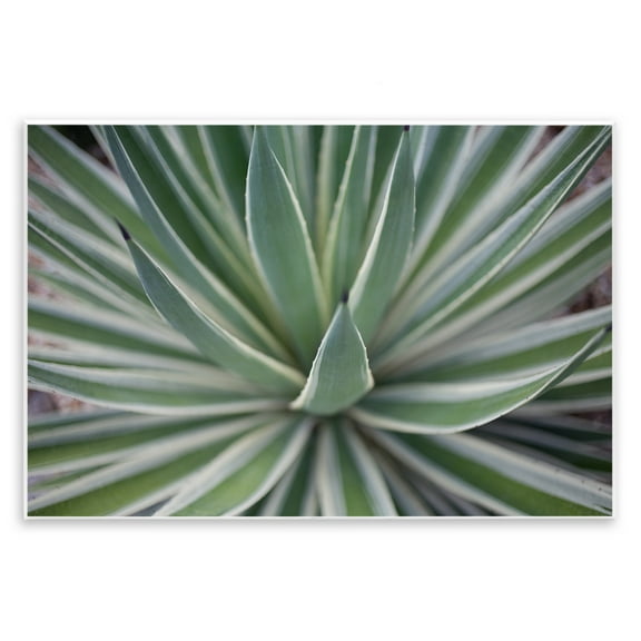 Stupell Industries Striped Plant Leaves Botanical & Floral Photography Unframed Art Print Wall Art, 15 x 10