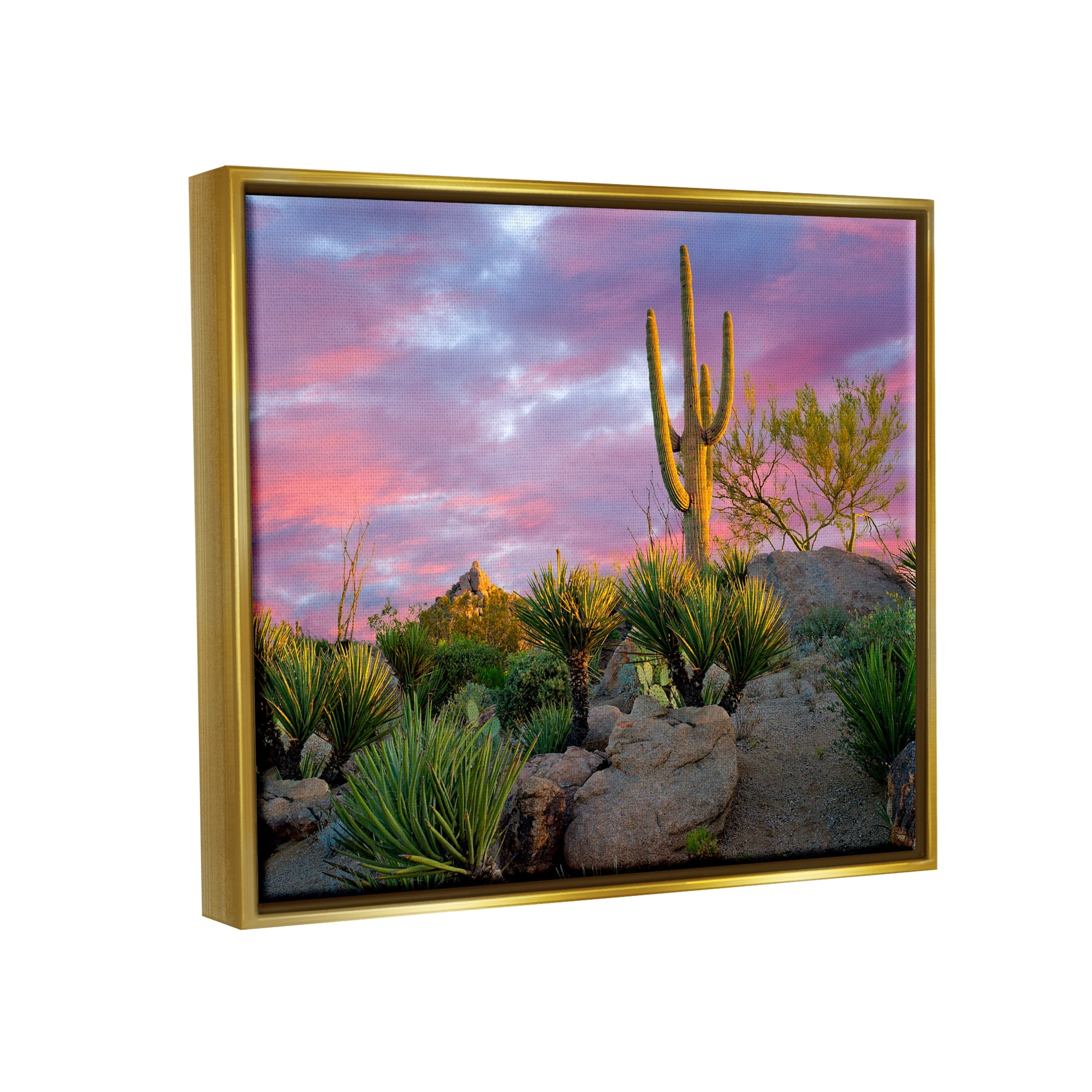 Stupell Industries Pink Sunrise Arid Cactus Plants Landscape Photography Gold Floater Framed Art Print Wall Art