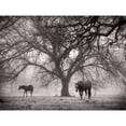 thumbnail image 3 of Van Swearingen, Debra 24x19 Black Modern Framed Museum Art Print Titled - Morning Calm II BW, 3 of 5